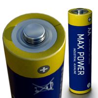 AA alkaline batteries
