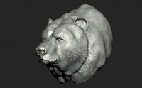 bear bust