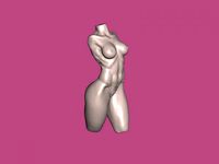 torso of slender girl