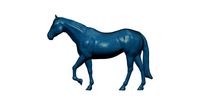horse