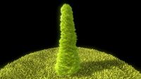 Cypress - Version 3 - 1 Meter