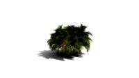 Realistic HD Butterfly palm (42/62)