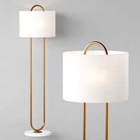 Dantone Home Mateo Floor lamp (346490)