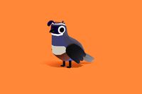 Quail - Quirky Series