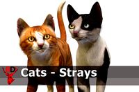 Cats - Strays