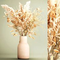 Bouquet of dried flowers in a vase of pampas grass branches reeds 289
