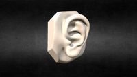 Anatomical reference for artists - EAR