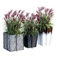 Trinway two plants (347039)