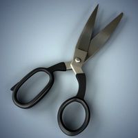 Scissors 3D Model