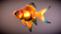 Gold fish