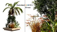 Island plants collection
