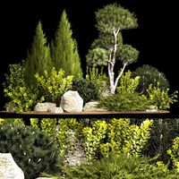 Alpine Hill With Thuja Pine Juniper And Bushes 1208