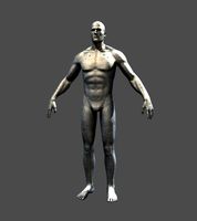 Cyborg 3D Model