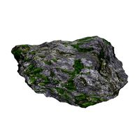 Ground Rock 01