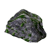 Ground Rock 08