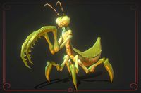 Animals: Mantis