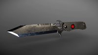 Bowie Knife