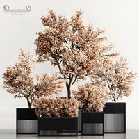 Indoor Plant Set 101 Dry Plants (347632)
