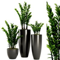Indoor Plant Set V4 (347868)