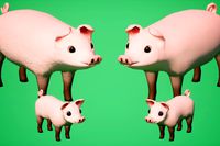 SI - Animated Pig and Piglet