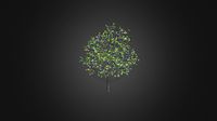 Plum Tree with Fruits 3D Model 3.2m