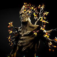 Ent Veteran