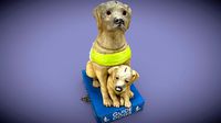 Guide dogs for the blind