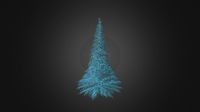 Blue Spruce (Picea pungens) 7.4m