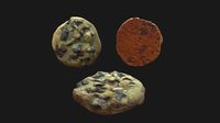 Realistic Chocolate Chunk Cookie