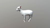 Little Goat