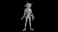 Bug Man