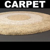 Rug Detailed 4 3D Model
