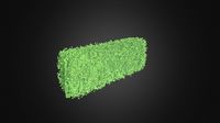 Straight Hedge