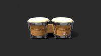 Bongo