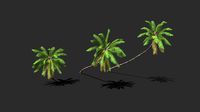 Coconut Palm Trees-02