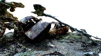 Two Shelled & Burned Cars in the forest