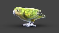 Kakapo