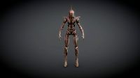 Organgrinder