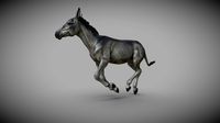 Kulan | 3D Sculpting