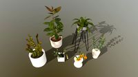 Indoor Houseplants Asset Pack