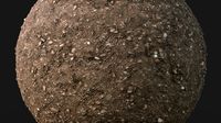 Coastal ground texture scan