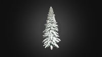Spruce Tree with Snow 3D Model 8m