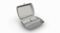 Take-away lunch polystyrene box 02