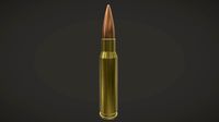 7.62x51mm NATO fmj Cartridge