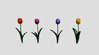 Realistic 4 type color Tulips Low-poly 3D model