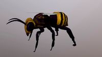 African Bee