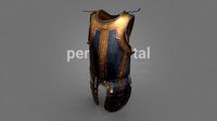 Medieval Steel cuirass 11