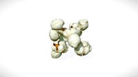 Food Series #2 - Popcorn