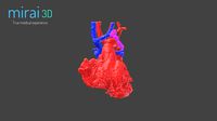 Medical Model WP23