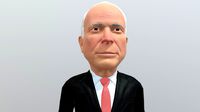 John Mc Cain stylized 3d model